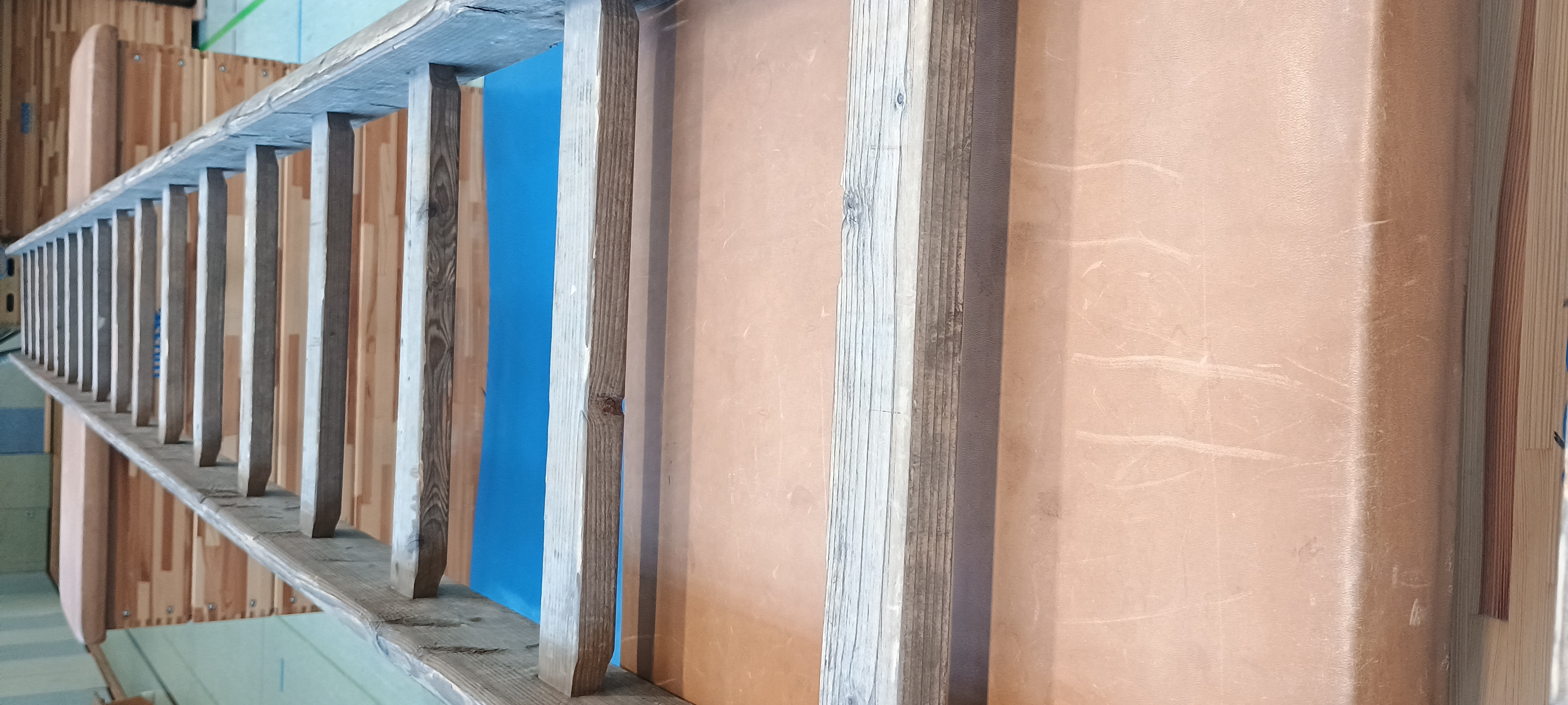 Neutral Sprossen hoch